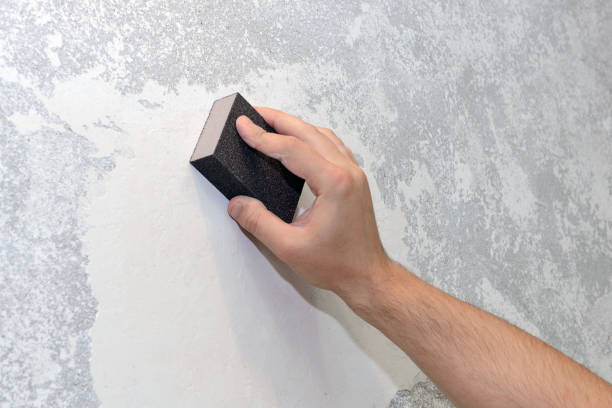 Best Comprehensive Air Testing for Mold Contaminants  in Sherwood, OR