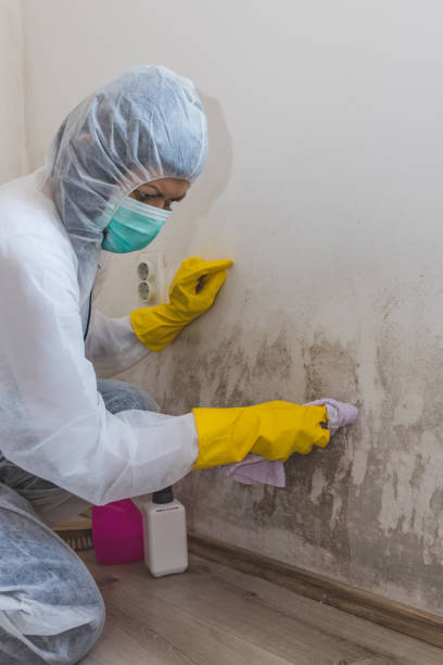 Best Forensic Mold Investigation  in Sherwood, OR