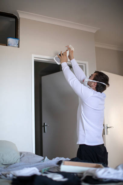 Best Black Mold Removal  in Sherwood, OR