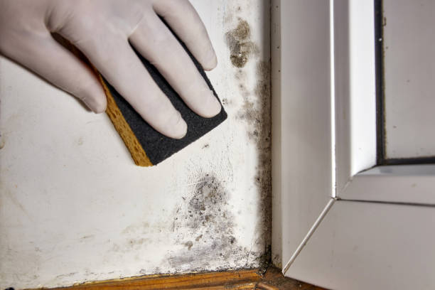 Best Forensic Mold Investigation  in Sherwood, OR