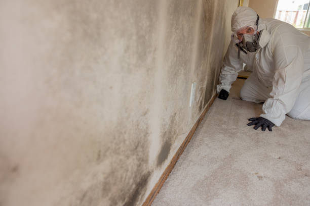 Sherwood, OR Mold Removal Pros